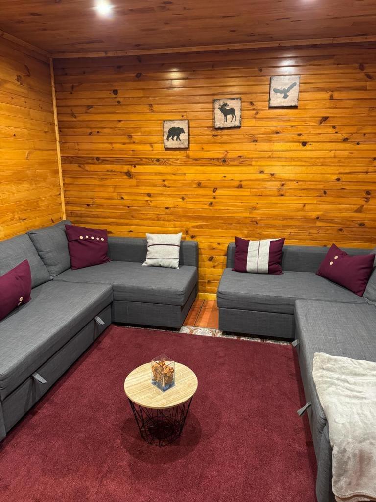 Mountain Lodge T3 Duplex Abrigo Do Lobo Covilhã Eksteriør bilde